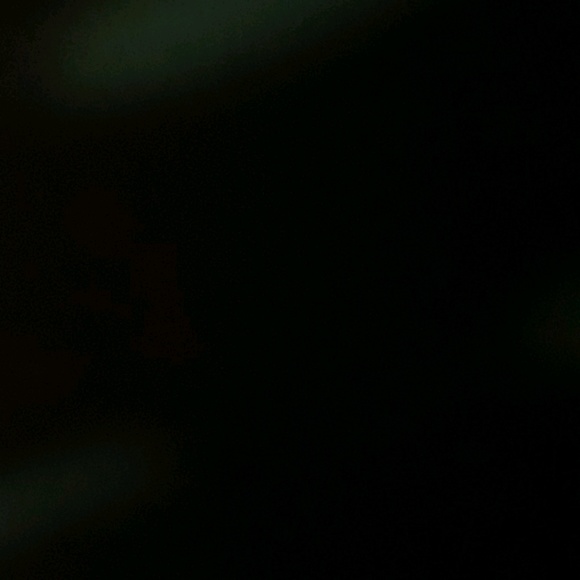 Meet your Posher, Rosa - Picture 1 of 1